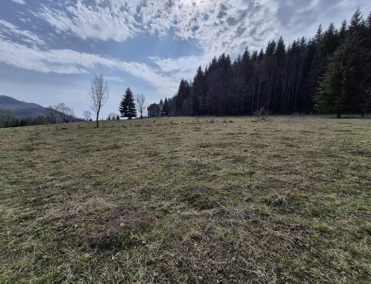 Teren intravilan la baza pădurii Valea Doftanei sat Traisteni (poduri)