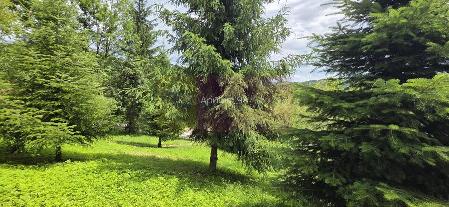 Cabana cu 5 camere de vanzare in Provita - 30
