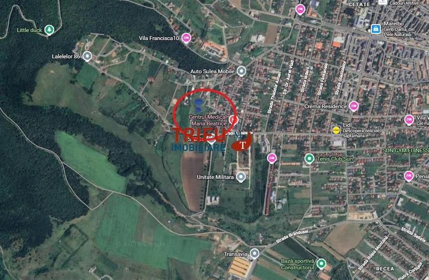Teren intravilan construibil 766mp Cetate zona Schit