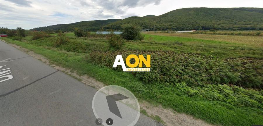 Teren INTRAVILA INDUSTRIAL Sard, Suprafata 13000 mp