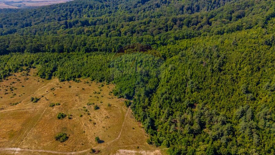 Teren 6,000mp Crizbav / Strada principala