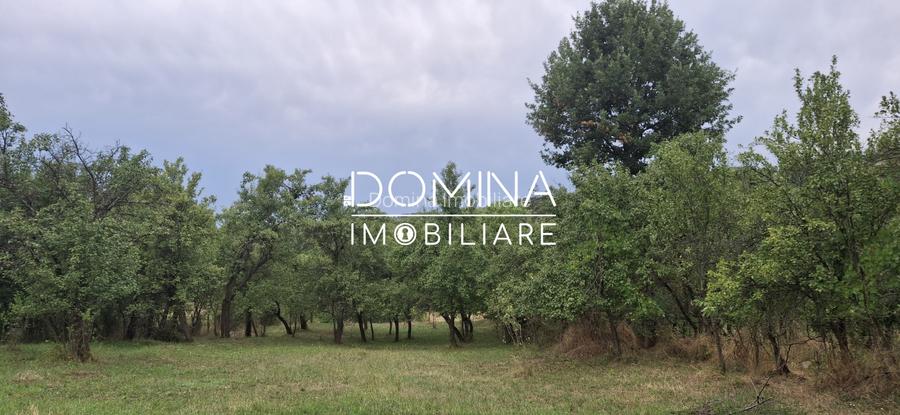 Vânzare casă – sat Bălcești, com. Bengești-Ciocadia – teren generos 6.770 mp - 6