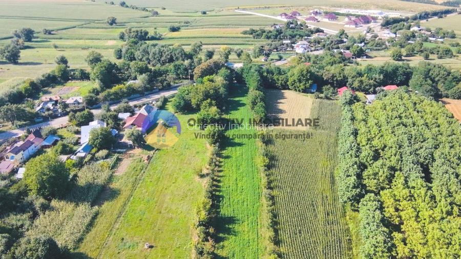 TEREN intravilan  6764 mp DRAGOMIRESTI - VAD - 5