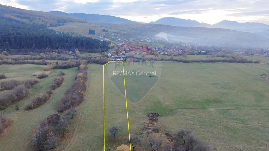 Teren 5.800 mp Purcareni curent, gaz, apă / Strada 30 decembrie - 4