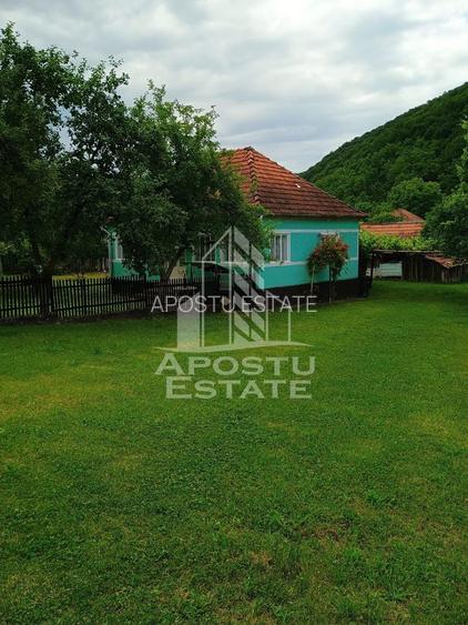 Casa batraneasca de vanzare, 4 camere, in Hunedoara, sat Micanesti - 6