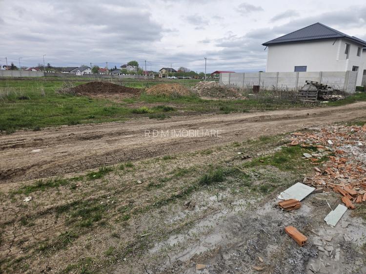 LOT 500 mp Clinceni - 2