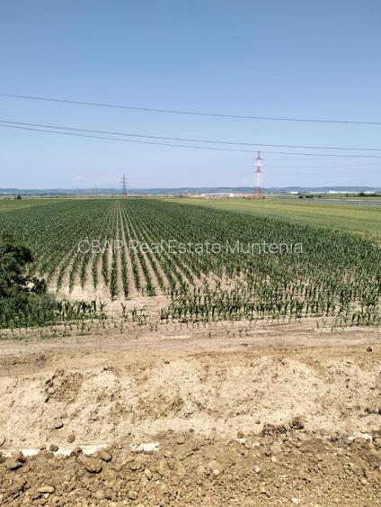 Teren Oarja de 8 400 mp, langa Pasarela A1, 5,5 euro/mp la Pretul 46 200 Euro. - 6