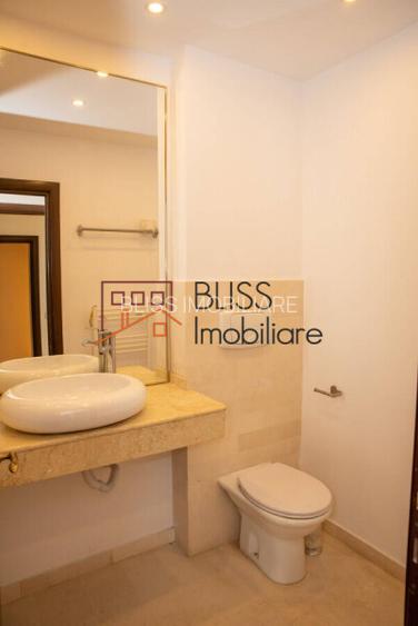 Casă / Vilă 8 camere în zona Iancu Nicolae - 11