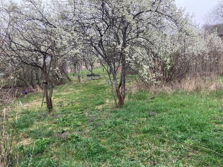 de vânzare casă cu teren - 3