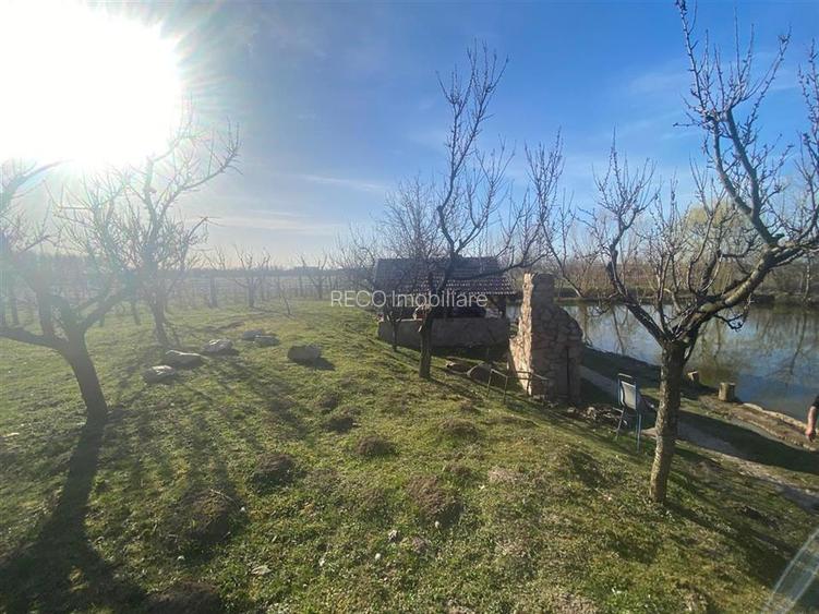 RECO casa de vacanta  Episcopia - 8