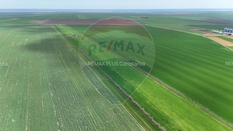 Teren extravilan Săcele ideal pentru silozuri, fermă sau investiție - 24