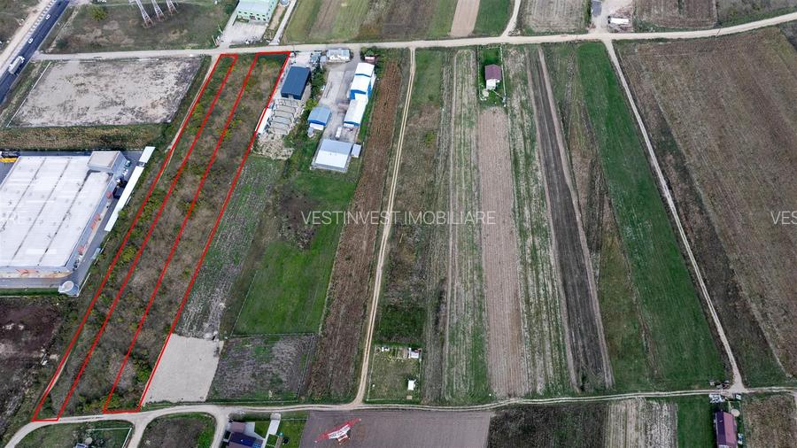 Teren intravilan industrial Osorhei - 5