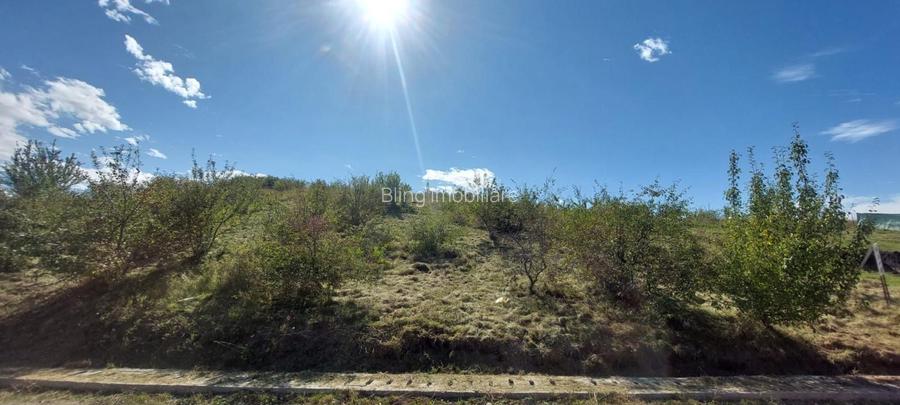 Teren intravilan 1214mp in Chinteni - zona centrala, strada Ion Creanga! - 2