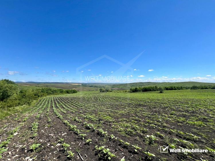 Oportunitate investitie, Chinteni, zona Macicas 31.600 MP - 4