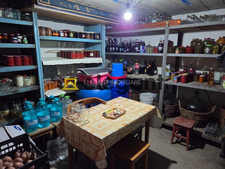 Casa P+M, 242 mp, beci, mobilata, centrala, 650 mp teren, Drumul Muntenilor - 13