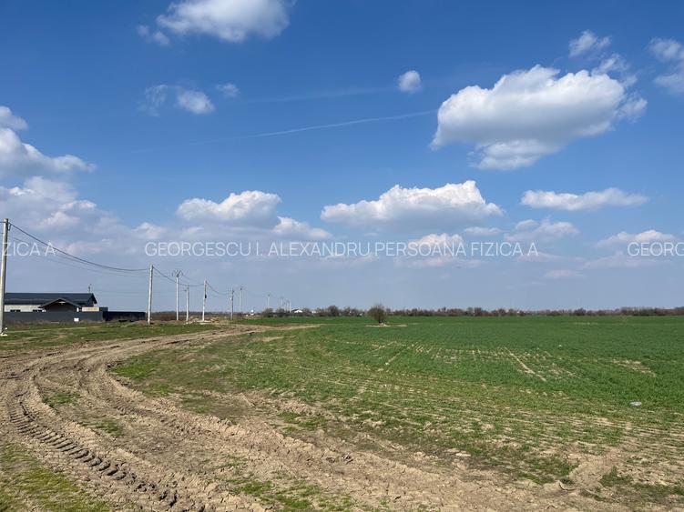 1 Decembrie Strda Pinului 5000m - 4