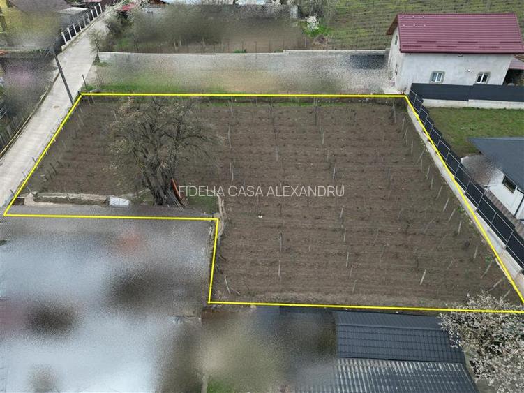Teren intravilan 842 mp , asfalt , toate utilitatile - Valea Lupului , Iasi - 3