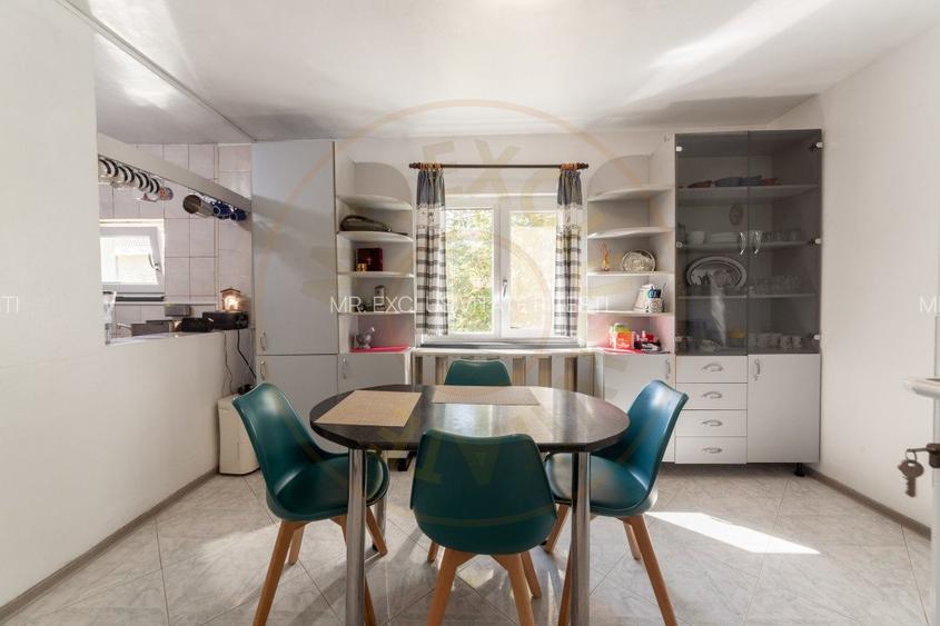 Casa visurilor cu livada roditoare si gradina amenajata Darmanesti-Arges - 13