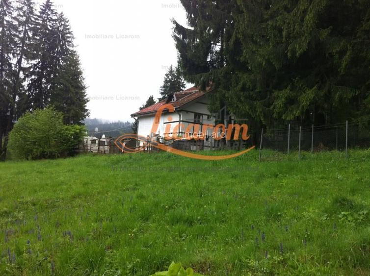 Teren intravilan Cotul Donului,pretabil Hotel/pensiune. - 10