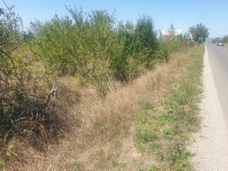 Teren Sanpetru intravilan acces din DJ - 5