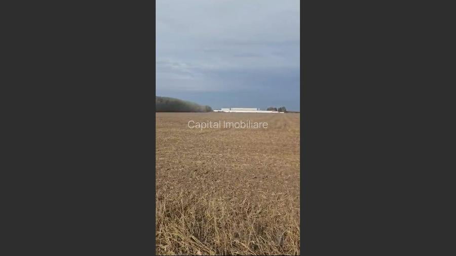 Teren Agricol 2 Ha - Becicherecu Mic (Zona Fornetti) - Acces Betonat - 2