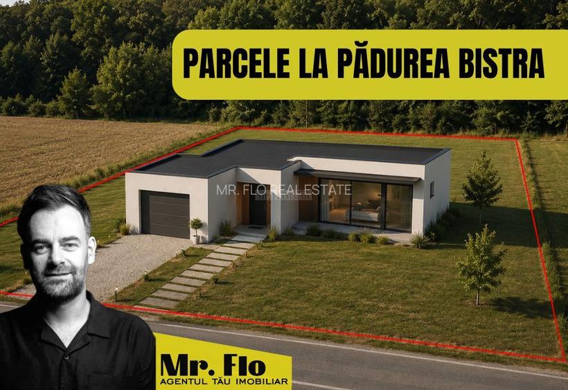Terenuri Premium lângă Pădurea Bistra – Oportunitate Limitată - 3