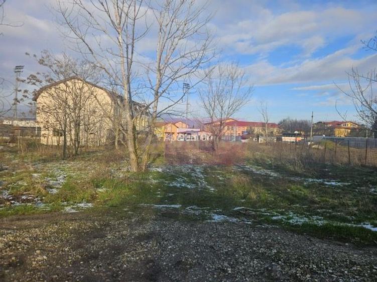 Teren Clinceni cu drum de servitute - zona Primarie. - 2