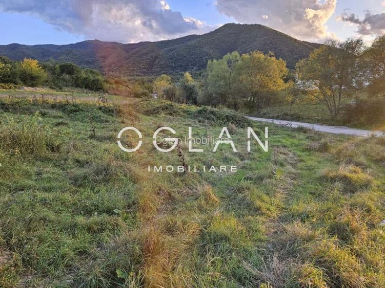 Teren cu PUZ si utilitati, Cisnadie, COMISION 0% - 2