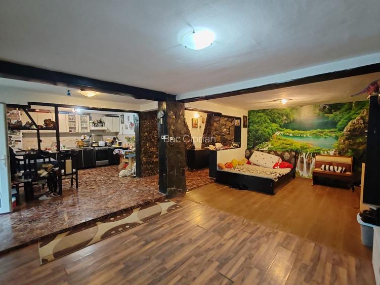 Casa si teren de vanzare ultracentral Iasi - 7