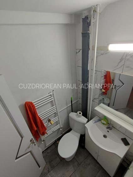 Apartament 2 camere de vanzare langa Parcul Garii - 5