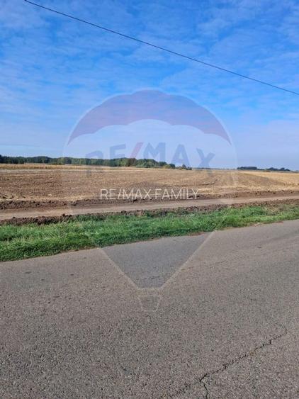 Teren 21,177mp Santaul Mic / Strada - - 4