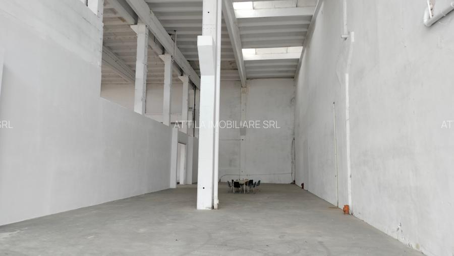 Inchiriez hala 488 mo zona Sagului - 5