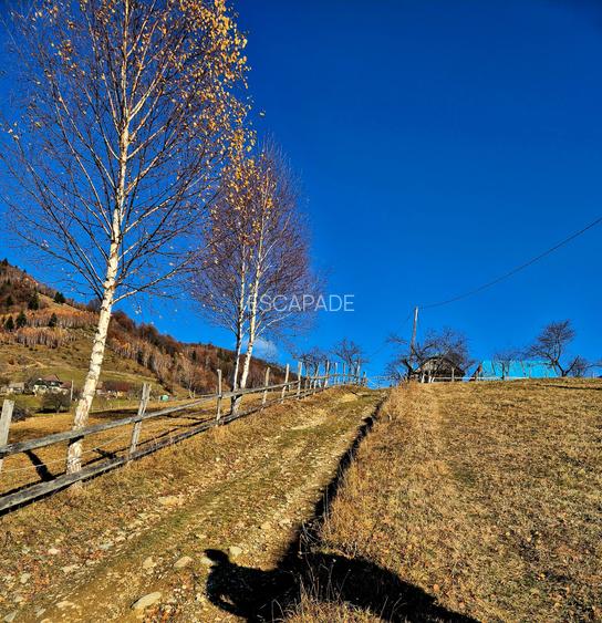 Teren de vânzare în sat Măgura/ Brasov– loc pentru familie, liniște și suflet - 26