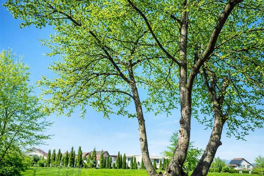 Casa moderna,mobilata,utilata,incalzire parsoseala:confort,liniste si natura la - 12