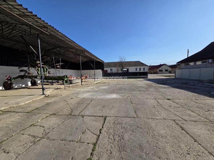 Dudestii Noi, Hala, Disponibila imediat - 3