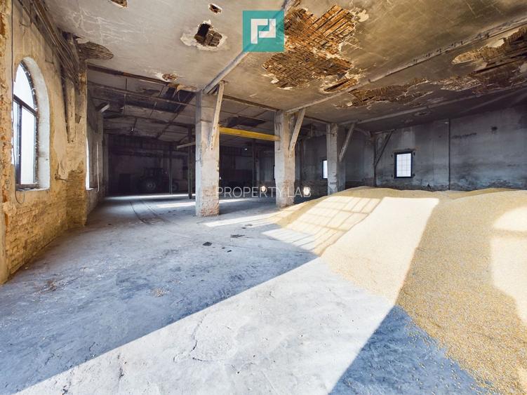 Teren și hale pe Calea Aradului din Periam - 15