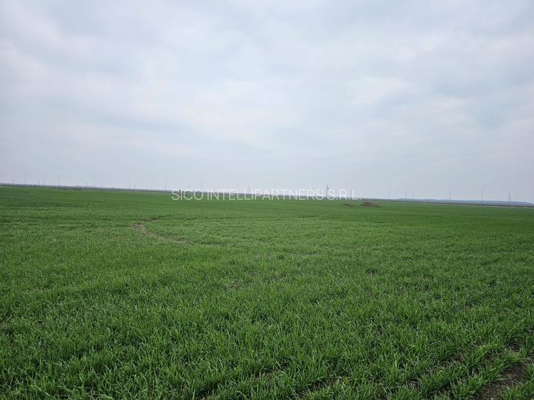 Teren de vânzare  Tunari  27 euro mp - 3