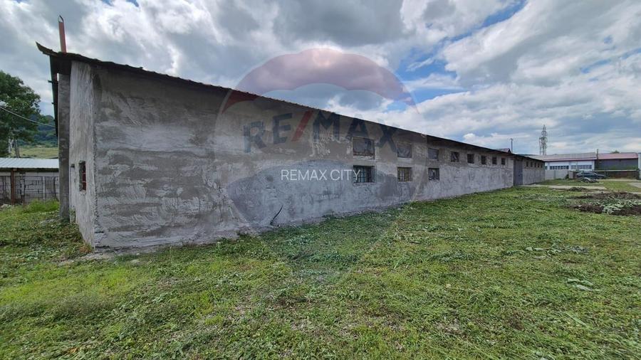 Spațiu industrial/hala de  vanzare - Piatra Neamt - 9
