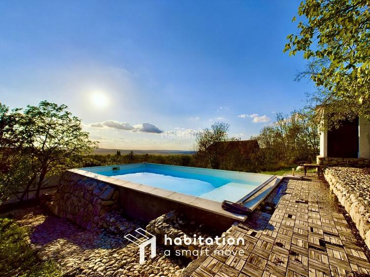 Casă cu 4 dormitoare + piscină în Socolari – ideală pentru investiție - 39