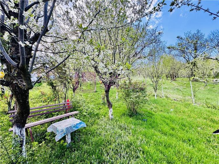 Casa individuala de vanzare in Nucet | Rosia | teren 747 mp | livada, pivnita | - 10