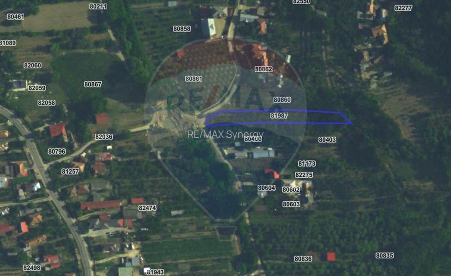 Teren intravilan 1.736 mp Chițești- Bogați (AG), deschidere la asfalt - 10