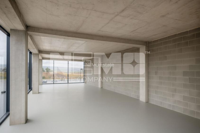 Spatiu Comercial 215 mp&Hală 380 mp | Împreună sau separat | Milisauti - 8