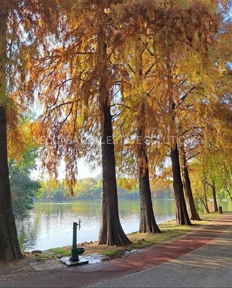 LOCUINTA TA APROAPE DE PARC BLOC Y ! - 2