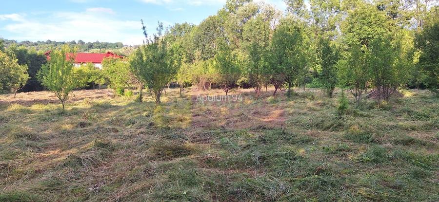 Vila de vanzare cu 6 camere si teren de 5116 mp in Cornu, Prahova - 34