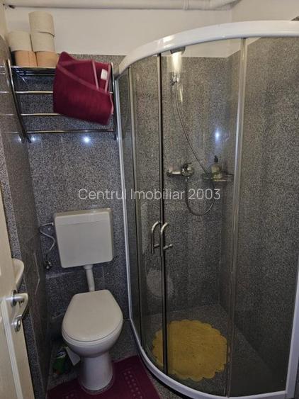 Garsoniera mobilata, Investitie,inchiriata 250 euro, Teiul Doamnei - 9