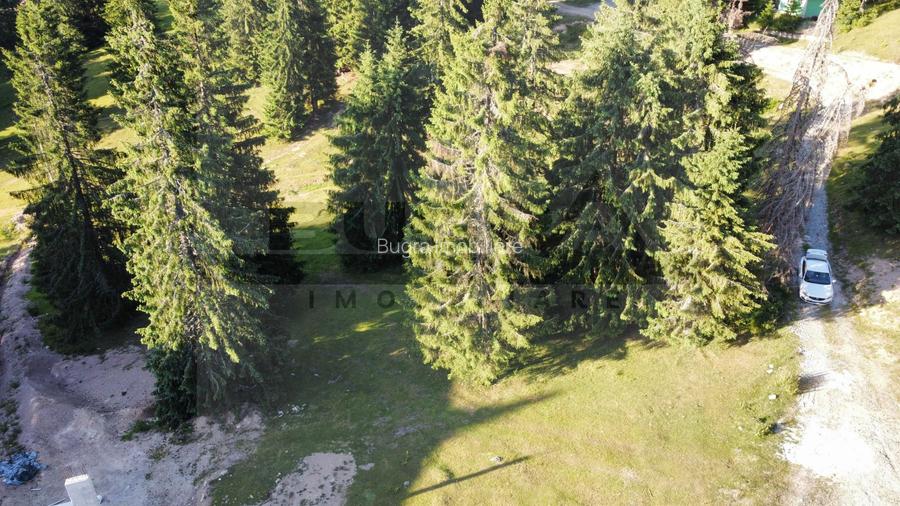 Teren intravilan 250 mp, Arieseni - Partie Ski - 3