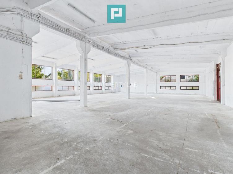 Hală industrială cu multiple destinații în Nădlac - 14