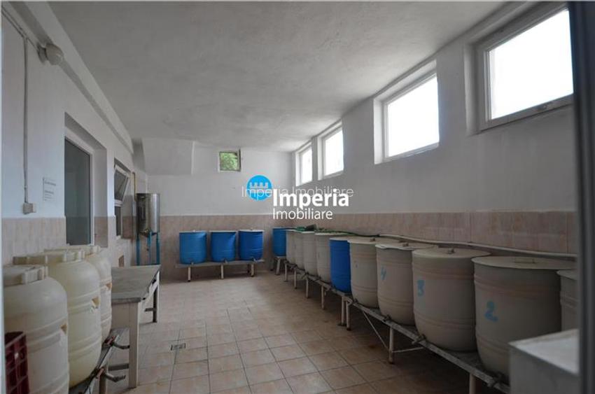 Hala de inchiriat in Iasi, zona Tomesti - 5