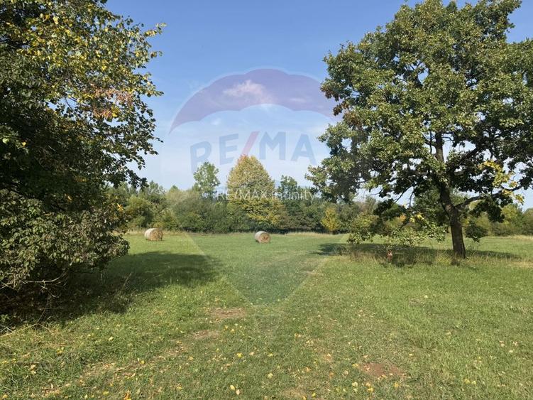 Teren 10.000 mp Calatele – Apuseni, langa rau, ideal investitie turism - 10