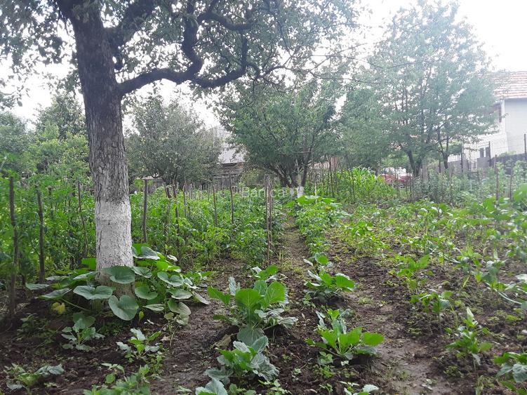 Casa situata  la poalele dealurilor subcarpatice in zona pomicola. - 11